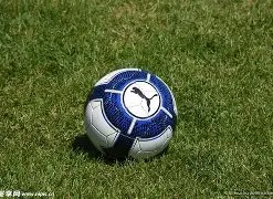 赵睿与周琦,斯佩尔曼强,强联手,bwin体育平台,bwin体育官方网站,bwin体育登录入口,bwin体育app下载