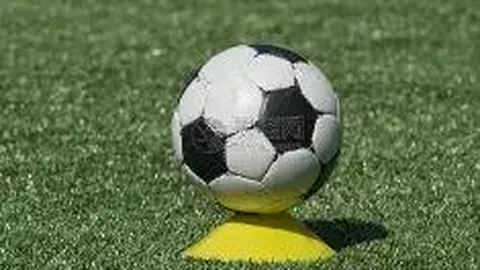 bwin体育 资讯 115230 qya