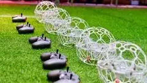 bwin体育 资讯 115238 w1y