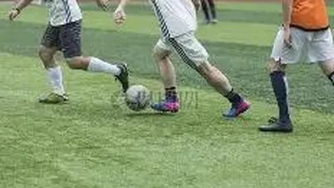 bwin体育 资讯 120958 zl8